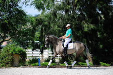 Portugal-Lisbon Area-Dressage Clinic in Ribatejo